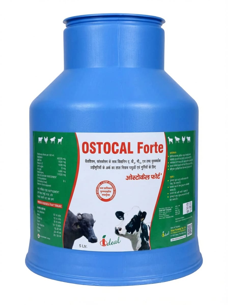 Ostocal Forte
